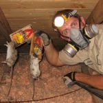 Rid-Of-Rats