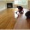Tips On How To Clean Laminate Flooring