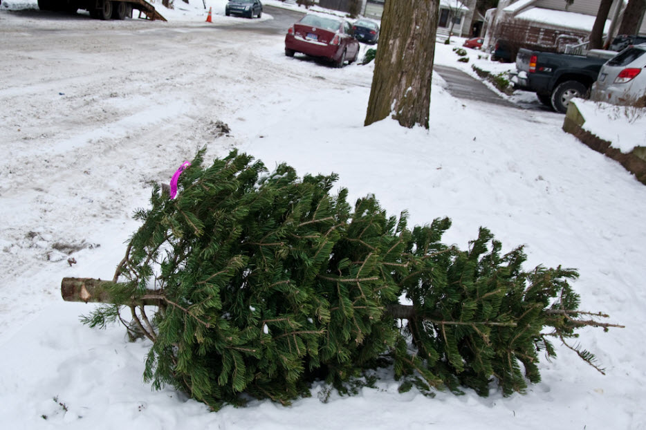 3 Most Common Dates To Take Down A Christmas Tree