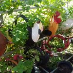 flower pot design