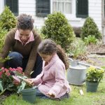 Plant Nursery Long Island