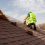 Why You Should Hire a Professional Roofer on a Regular Basis?