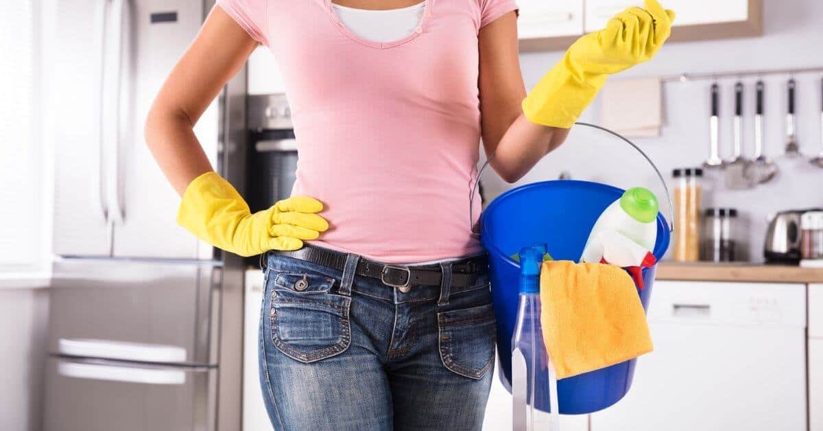How Do Professionals Clean Your House