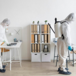Pest Control Services