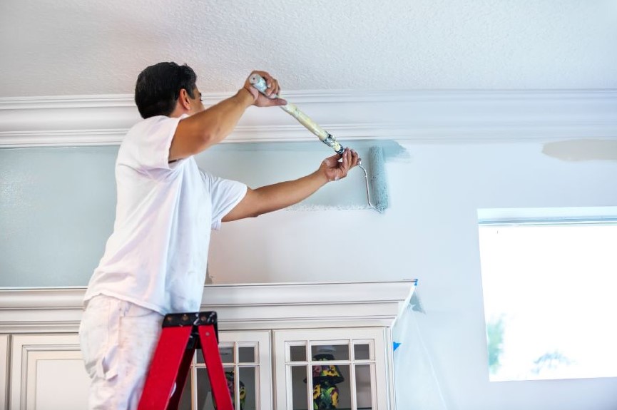 Professional House Painter Professional House Painter